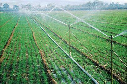 我公司开发并设计了农业喷灌和微灌技术,使传统农业灌溉得到了明显的