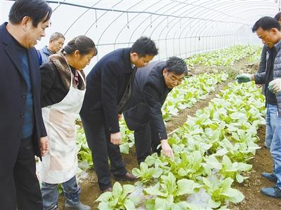 "种菜奇人"马新立(右二)在对贵州山清水秀农业开发公司的员工作技