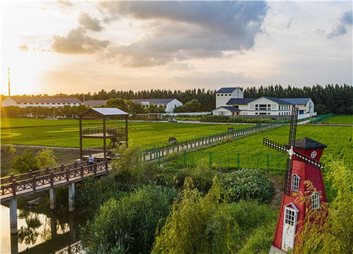 江苏常熟 飞地 里种出乡村振兴好风景